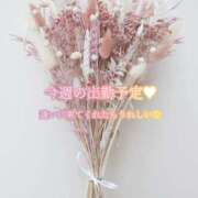 ヒメ日記 2025/08/04 17:02 投稿 えり 福島美女図鑑