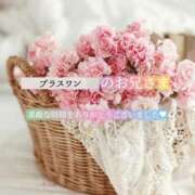 ヒメ日記 2025/08/07 23:43 投稿 えり 福島美女図鑑