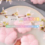 ヒメ日記 2026/01/08 13:01 投稿 えり 福島美女図鑑