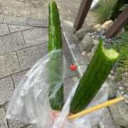 ヒメ日記 2025/01/16 18:20 投稿 まる ばつぐん素人プロダクション