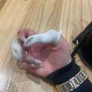 ヒメ日記 2025/02/13 17:33 投稿 まる ばつぐん素人プロダクション