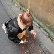 ヒメ日記 2025/12/17 00:39 投稿 まる ばつぐん素人プロダクション