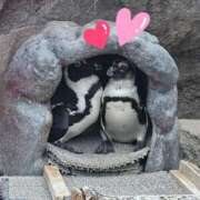 ヒメ日記 2025/05/12 20:30 投稿 あきの ウルトラグレイス24