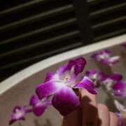 ヒメ日記 2025/11/10 09:20 投稿 あきの ウルトラグレイス24