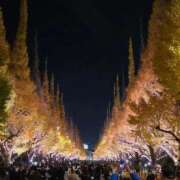 ヒメ日記 2025/11/27 20:50 投稿 あきの ウルトラグレイス24