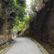 ヒメ日記 2025/01/19 21:06 投稿 まりん 横浜ひよこ倶楽部