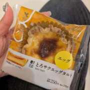 ヒメ日記 2025/03/15 10:13 投稿 まりん 横浜ひよこ倶楽部