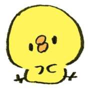 ヒメ日記 2025/04/27 22:26 投稿 まりん 横浜ひよこ倶楽部