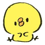 ヒメ日記 2025/05/04 01:46 投稿 まりん 横浜ひよこ倶楽部