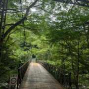 ヒメ日記 2025/06/15 17:48 投稿 まりん 横浜ひよこ倶楽部