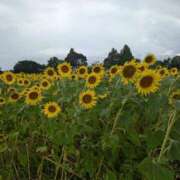 ヒメ日記 2025/08/10 17:56 投稿 まりん 横浜ひよこ倶楽部