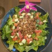 ヒメ日記 2025/08/29 15:26 投稿 まりん 横浜ひよこ倶楽部