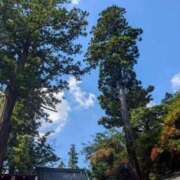 ヒメ日記 2025/09/07 21:00 投稿 まりん 横浜ひよこ倶楽部