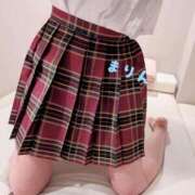 ヒメ日記 2026/02/19 10:18 投稿 まりん 横浜ひよこ倶楽部