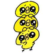 ヒメ日記 2026/03/13 15:46 投稿 まりん 横浜ひよこ倶楽部