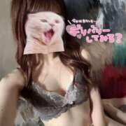 ヒメ日記 2025/10/21 12:41 投稿 ゆいな 若妻淫乱倶楽部