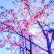 ヒメ日記 2025/03/11 09:50 投稿 内田かほ 五十路マダムエクスプレス船橋店(カサブランカグループ)