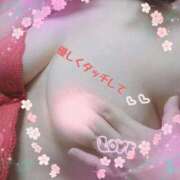 ヒメ日記 2025/06/11 11:26 投稿 内田かほ 五十路マダムエクスプレス船橋店(カサブランカグループ)