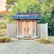 ヒメ日記 2025/01/29 08:10 投稿 藤井夏美 五十路マダムエクスプレス豊橋店（カサブランカグループ）