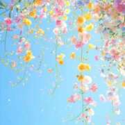 藤井夏美 ターゲット? 五十路マダムエクスプレス豊橋店（カサブランカグループ）