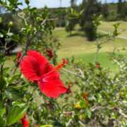 藤井夏美 ご無沙汰してます? 五十路マダムエクスプレス豊橋店（カサブランカグループ）
