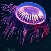 ヒメ日記 2025/03/05 01:21 投稿 しゅうこ 熟女の風俗最終章 仙台店