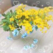 ヒメ日記 2026/02/23 08:54 投稿 しゅうこ 熟女の風俗最終章 仙台店