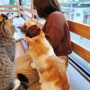 ヒメ日記 2025/01/29 01:14 投稿 【東峰 れいさ】 梅田ムチSpa女学院