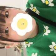 ヒメ日記 2025/04/11 19:54 投稿 【東峰 れいさ】 梅田ムチSpa女学院