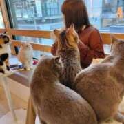 ヒメ日記 2025/11/18 19:14 投稿 【東峰 れいさ】 梅田ムチSpa女学院