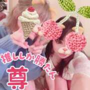 ヒメ日記 2025/01/09 23:47 投稿 まりか SUZUME