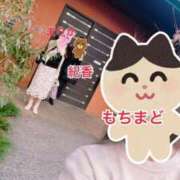 ヒメ日記 2025/01/11 10:22 投稿 まりか SUZUME