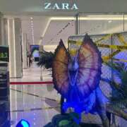 ヒメ日記 2025/01/17 08:19 投稿 まりか SUZUME