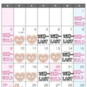 ヒメ日記 2025/02/19 09:26 投稿 まりか SUZUME