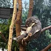 ヒメ日記 2025/02/24 15:41 投稿 まりか SUZUME