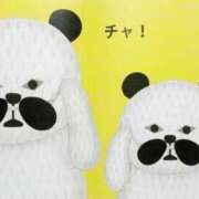 ヒメ日記 2025/03/02 14:01 投稿 まりか SUZUME