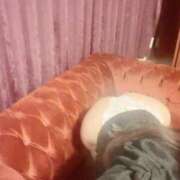 ヒメ日記 2025/03/20 12:10 投稿 まりか SUZUME