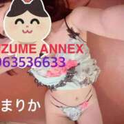 ヒメ日記 2025/03/28 11:13 投稿 まりか SUZUME