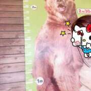 ヒメ日記 2025/04/06 08:21 投稿 まりか SUZUME