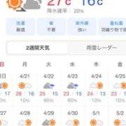 ヒメ日記 2025/04/19 07:29 投稿 まりか SUZUME