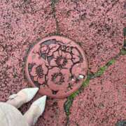 ヒメ日記 2025/04/20 14:00 投稿 まりか SUZUME