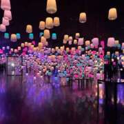 ヒメ日記 2025/04/23 23:40 投稿 まりか SUZUME