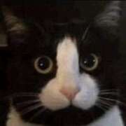 ヒメ日記 2025/05/14 16:22 投稿 まりか SUZUME