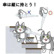 ヒメ日記 2025/05/21 07:34 投稿 まりか SUZUME