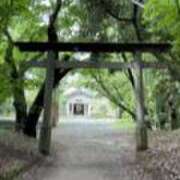 ヒメ日記 2025/05/24 01:09 投稿 まりか SUZUME