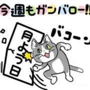 ヒメ日記 2025/05/26 16:00 投稿 まりか SUZUME