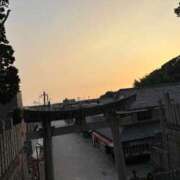 ヒメ日記 2025/06/05 06:26 投稿 まりか SUZUME