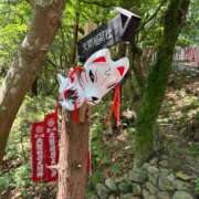 ヒメ日記 2025/06/06 16:16 投稿 まりか SUZUME