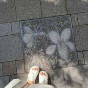 ヒメ日記 2025/07/18 06:16 投稿 まりか SUZUME