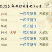 ヒメ日記 2025/07/31 04:22 投稿 まりか SUZUME